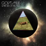 dark side of the mule govt mule