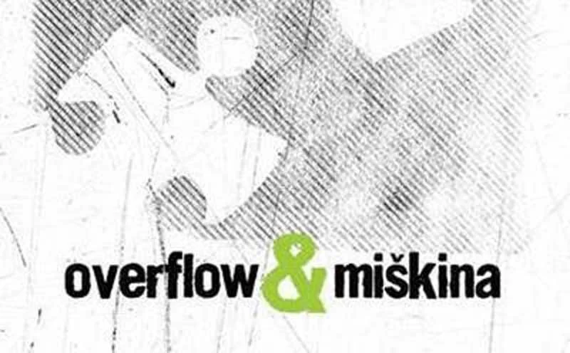 OVERFLOW!  Intervju sa Žikom