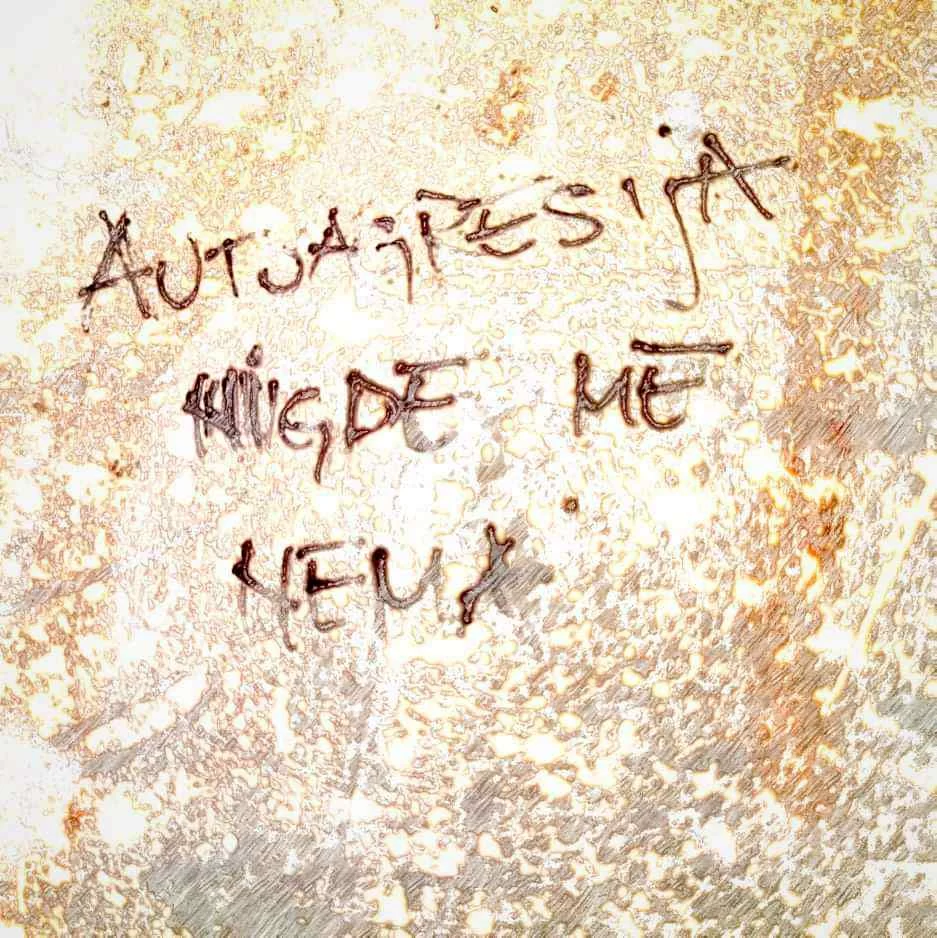 AUTOAGRESIJU obuzelo LUDILO – Obradili njihovu pesmu “Nigde me nema”