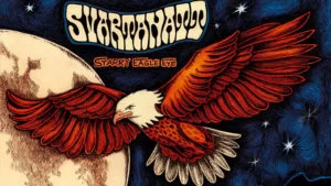 svartanatt starry eagle eye cover