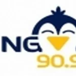 Radio Pingvin