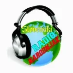 Slovenski Radio Narodnjak