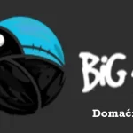 Radio Big 4 Domaćica